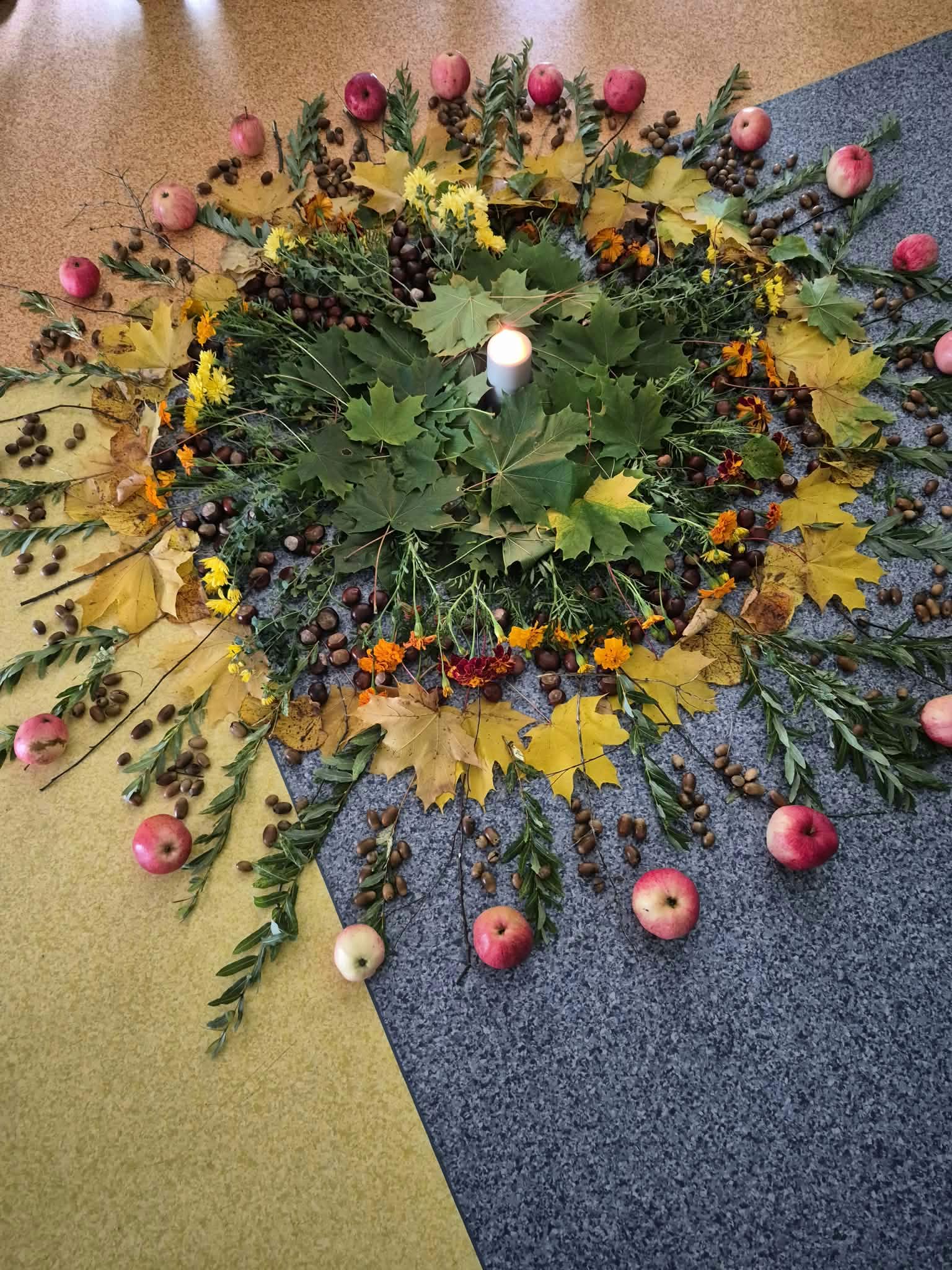 Žalia šviesa gyvenimui